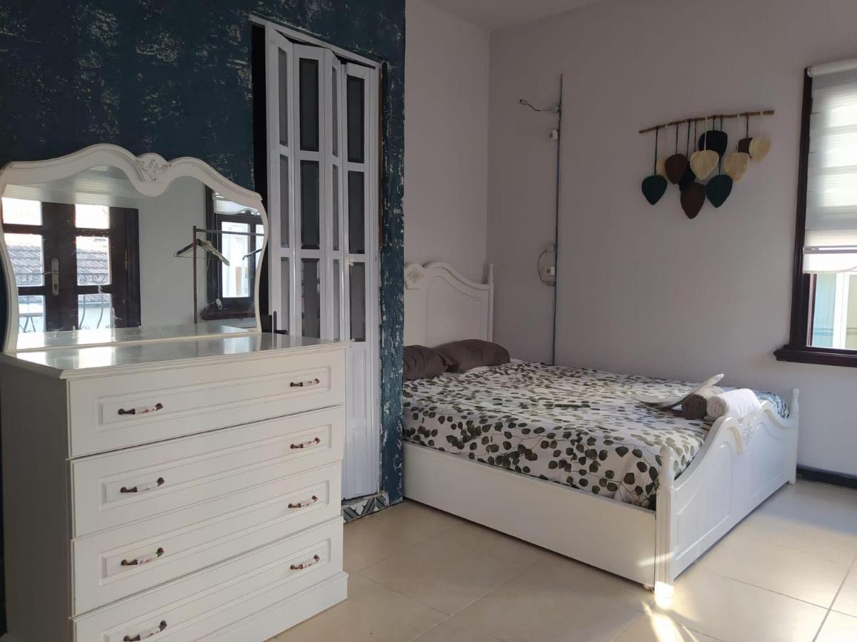 Auberge de jeunesse Gaia Art *